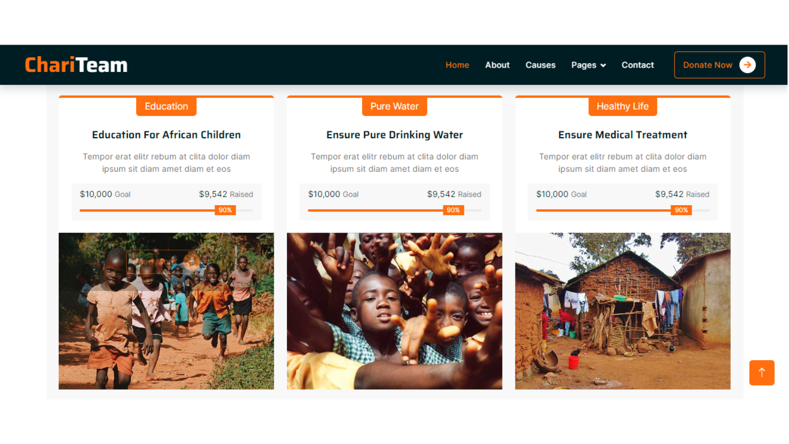 Website design Company in India website templates