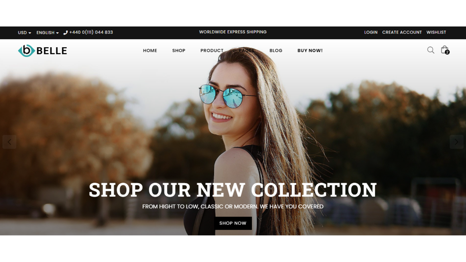 Website design Company in India website templates