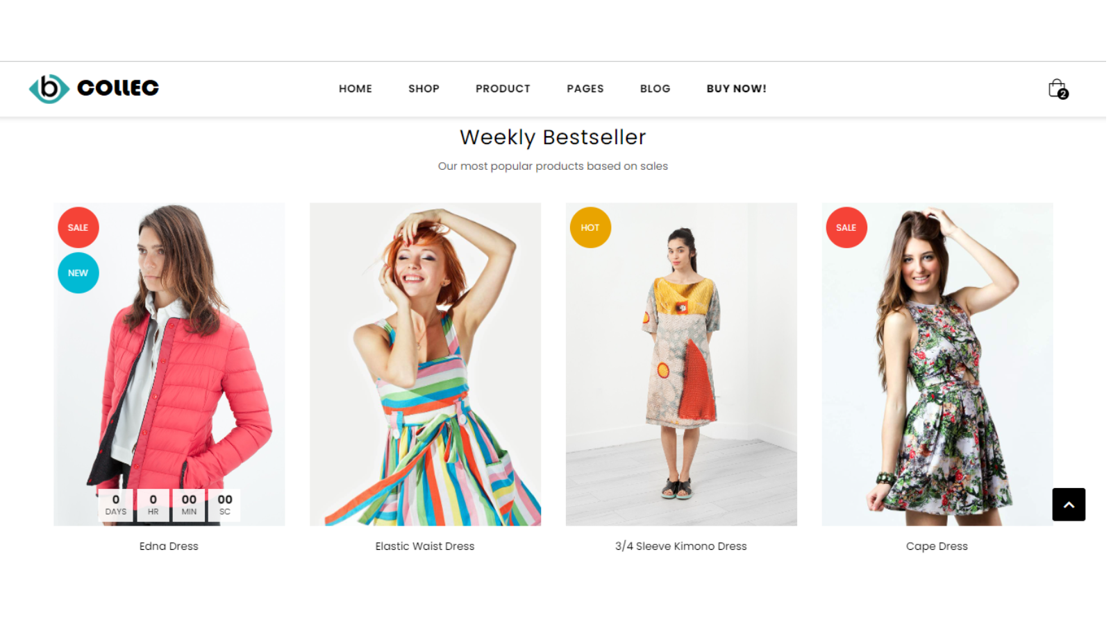 Website design Company in India website templates