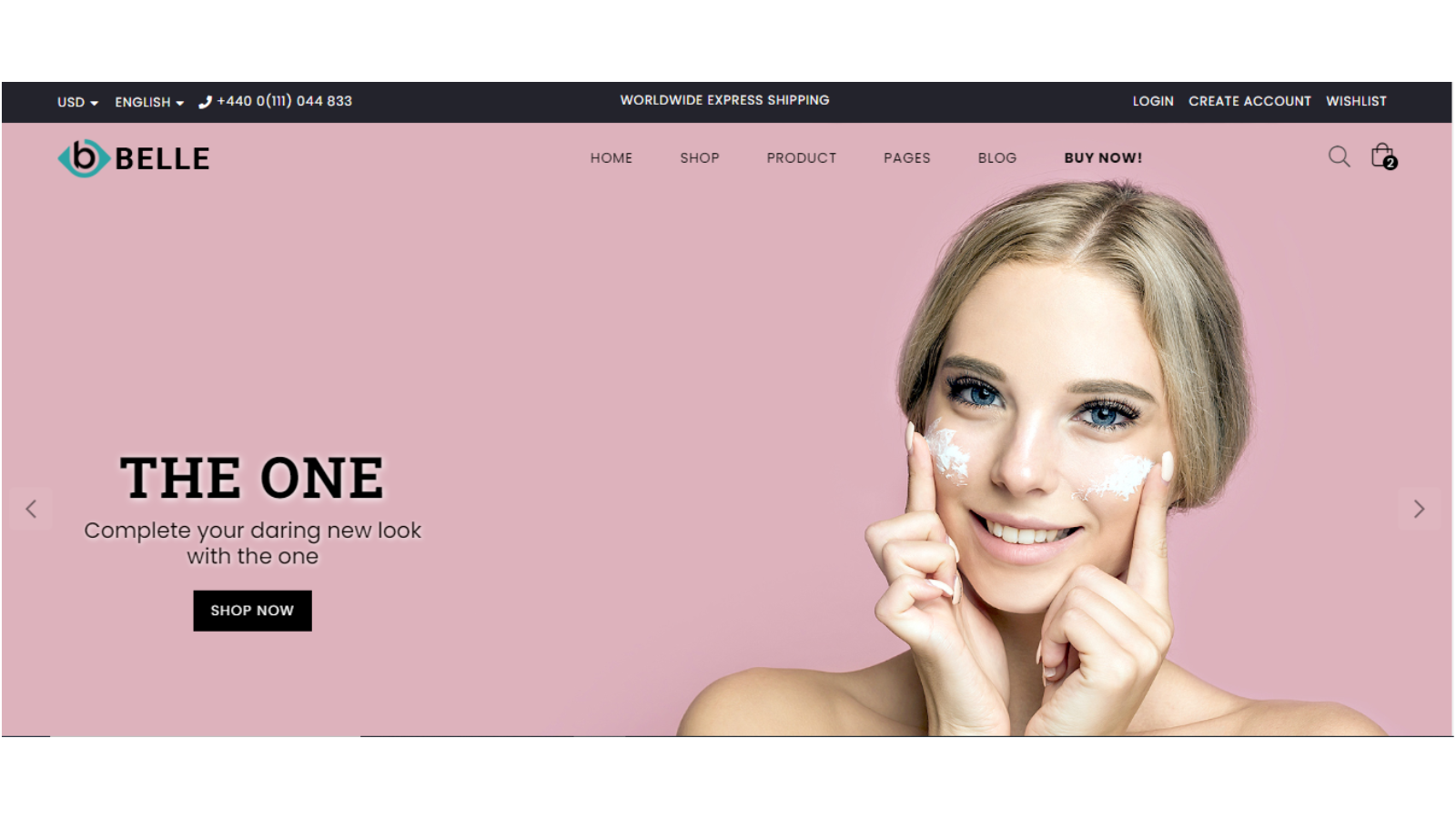 Website design Company in India website templates