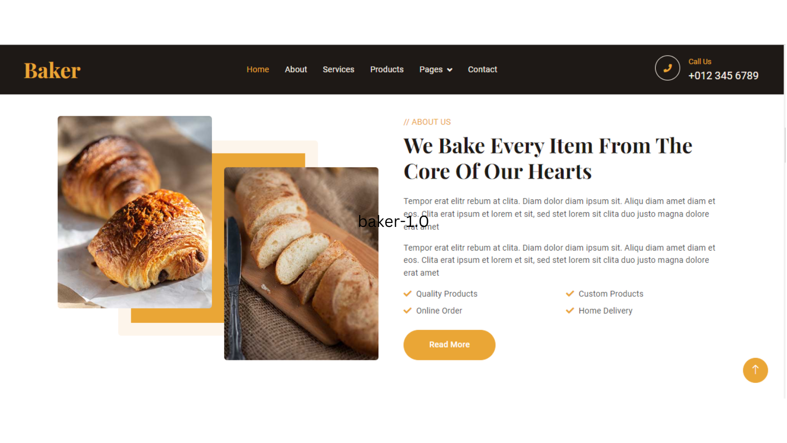 Website design Company in India website templates